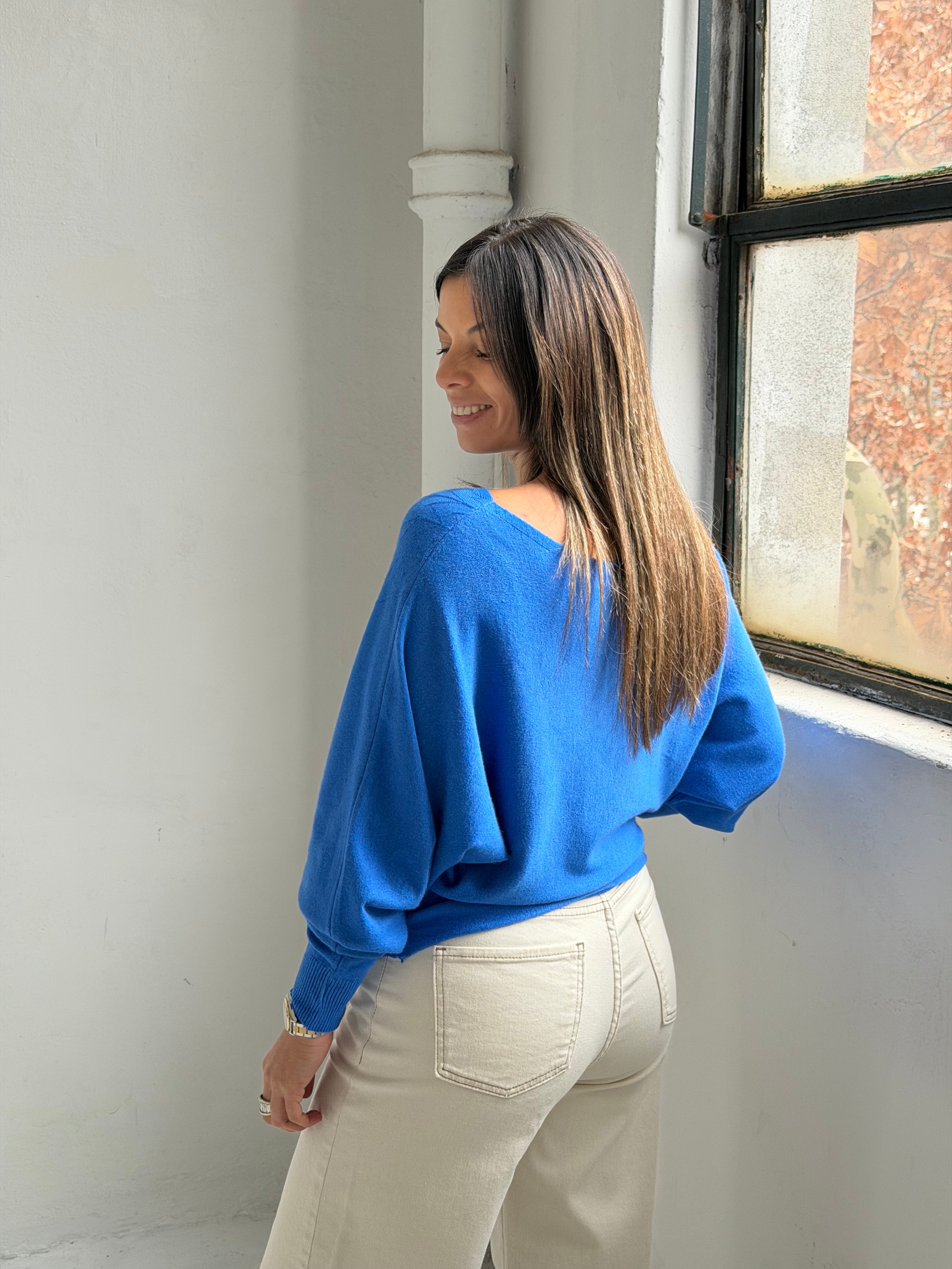Sweater Ala Azul